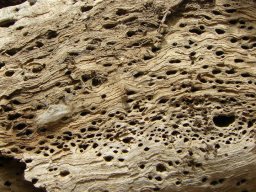 268404_10150257390059901_6209140_n